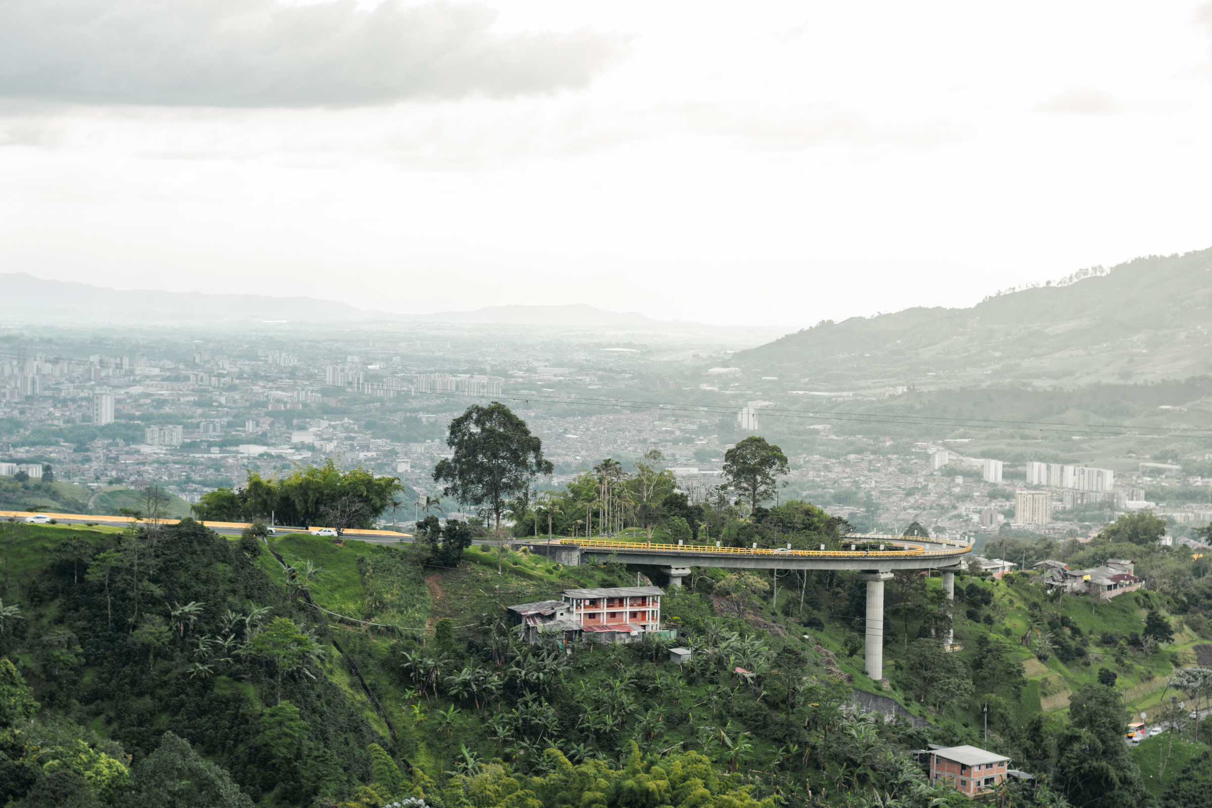 pereira (2).webp